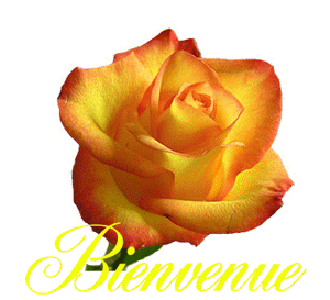 Gif animé bienvenue rose